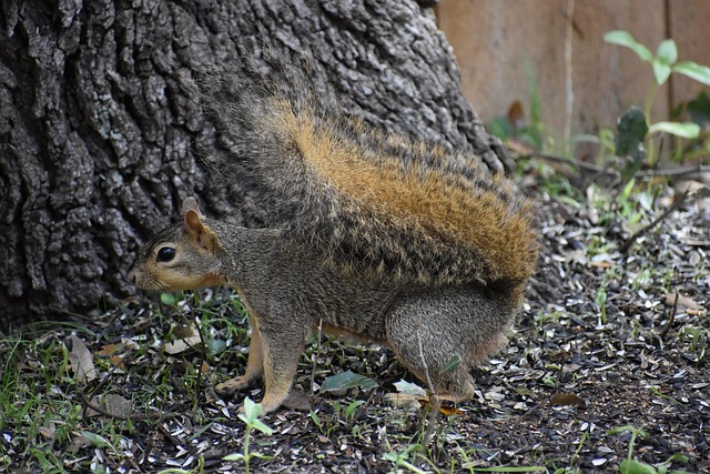 squirrel-hill-plumbing-640x480-31379154.jpeg