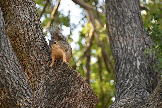 squirrel-hill-plumbing-640x480-70689721.jpeg