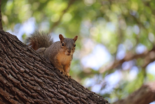 squirrel-hill-plumbing-640x480-95208627.jpeg