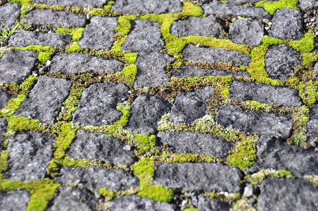 stone chip paving