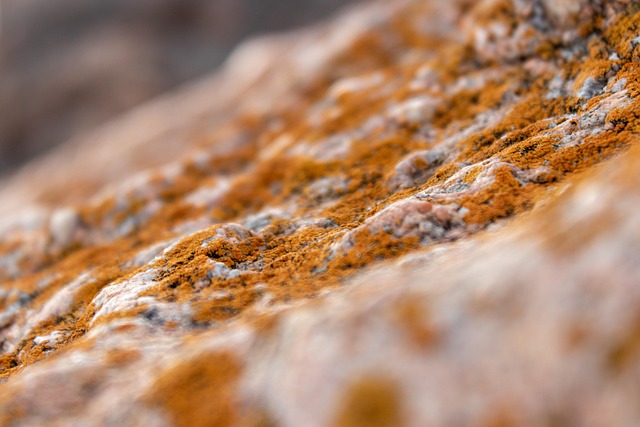 surface restoration