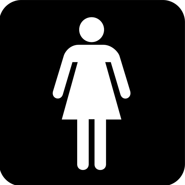 toilet not flushing
