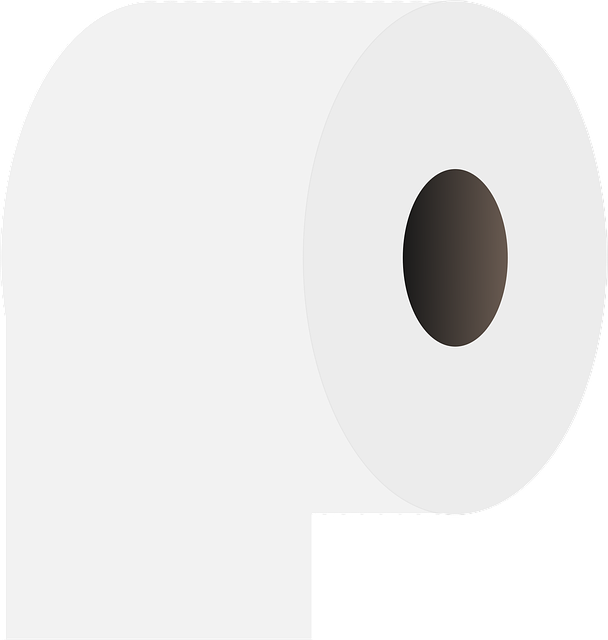 toilet replacement