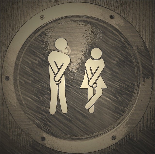 toilet service