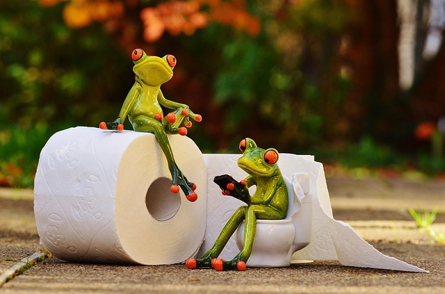 toilet service