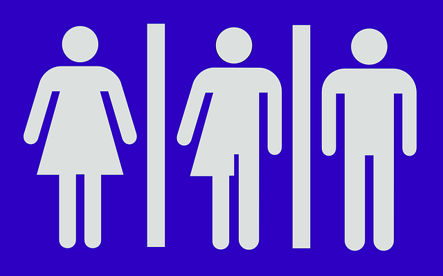 toilet-service-640x480-79358782.png