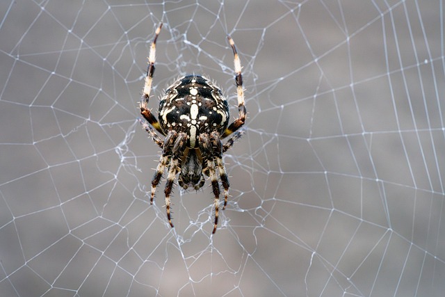 top rated plumbers