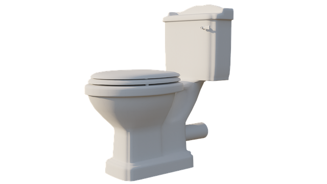 toto toilet