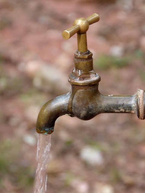 touchless faucet