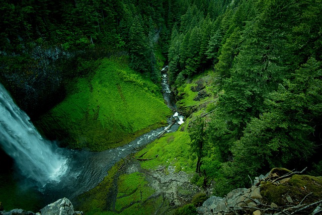 turkey-creek-plumbing-640x480-13745417.jpeg