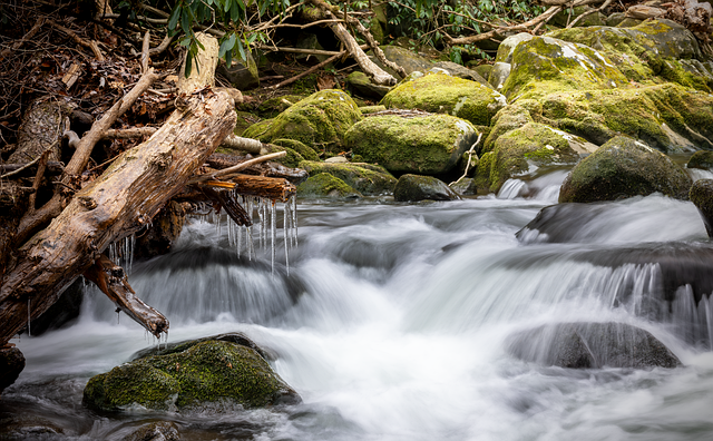 turkey creek plumbing