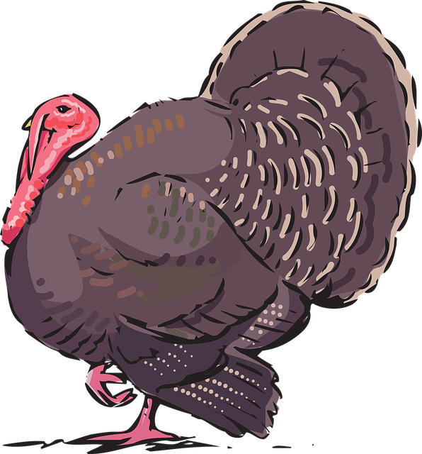 turkey creek plumbing
