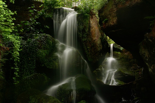 turkey creek plumbing