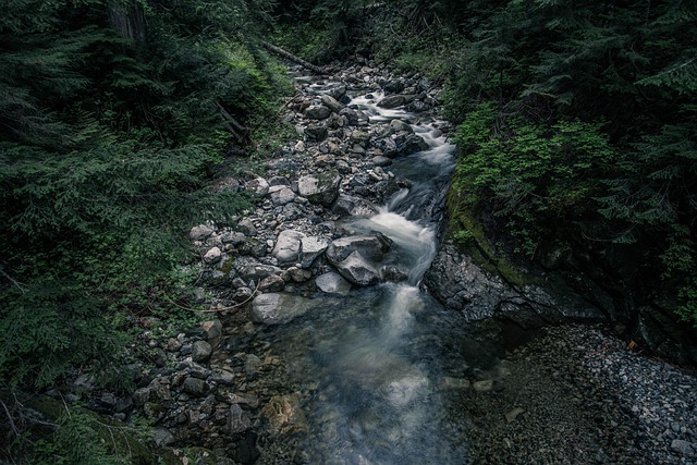 turkey creek plumbing