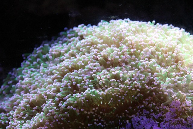 under-sink-filter-640x480-37859414.jpeg