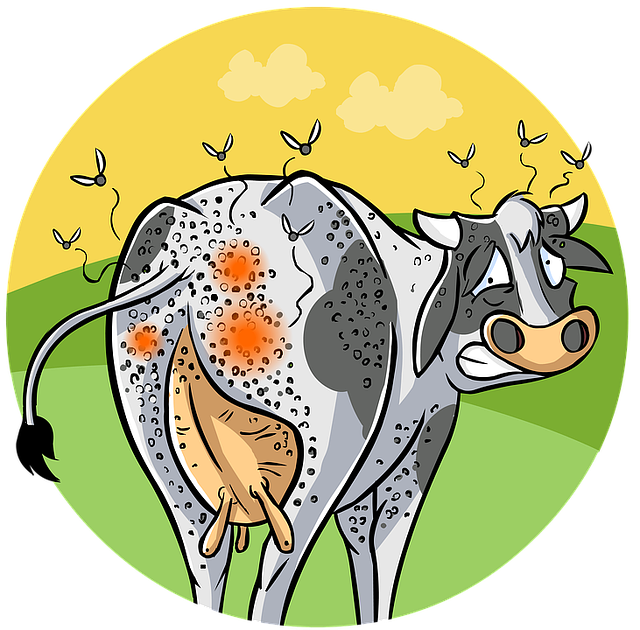veterinary plumbing