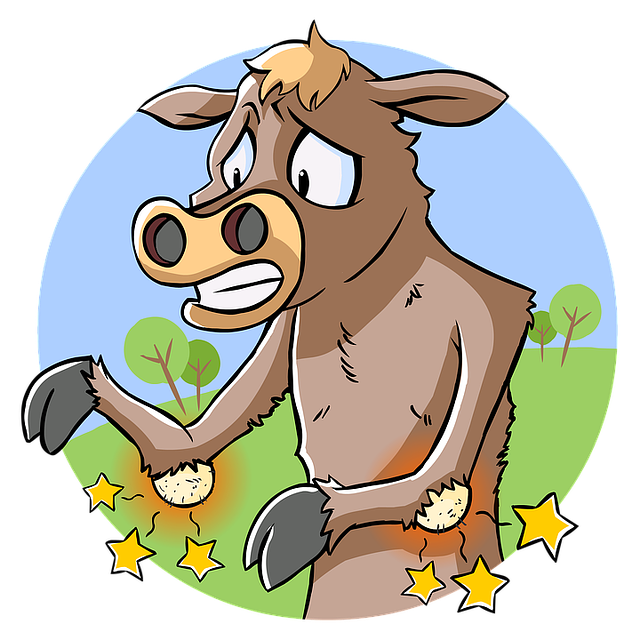veterinary-plumbing-640x480-78839089.png