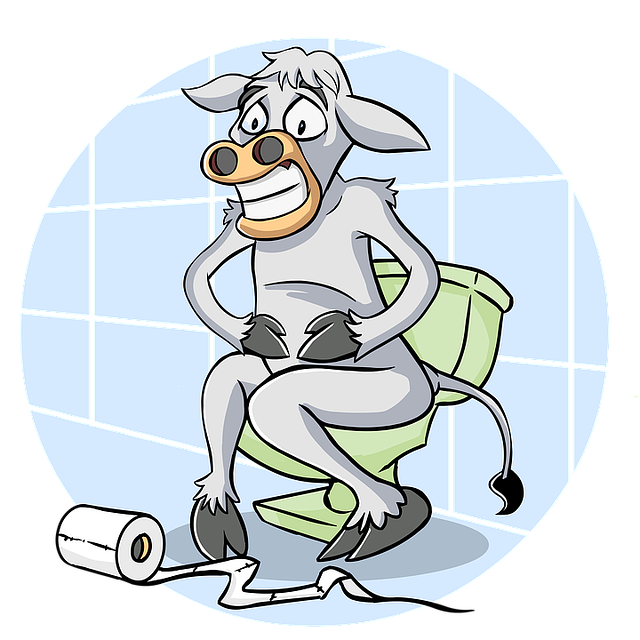 veterinary-plumbing-640x480-85997267.png