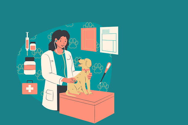 veterinary plumbing