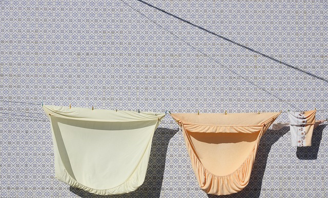 washing machine line