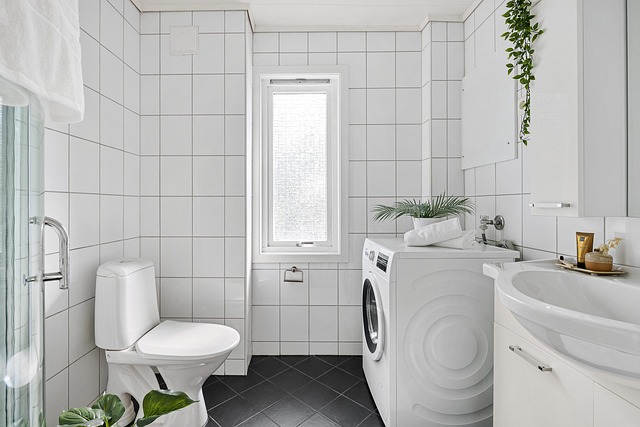 washing machine line