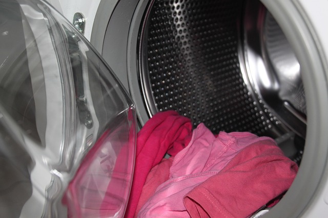 washing machine line