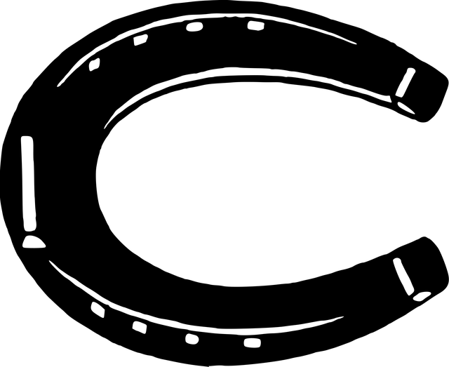 ao smith water heater