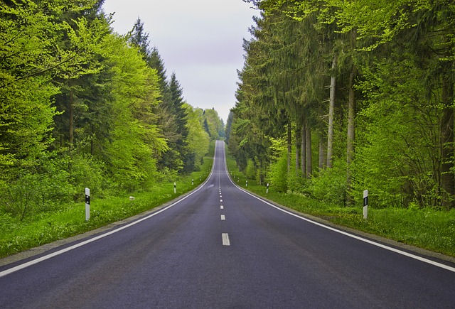 asphalt contractors