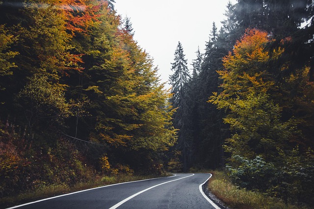 asphalt paving companies