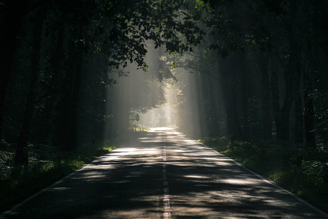 asphalt paving companies