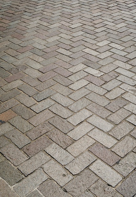 asphalt paving near me
