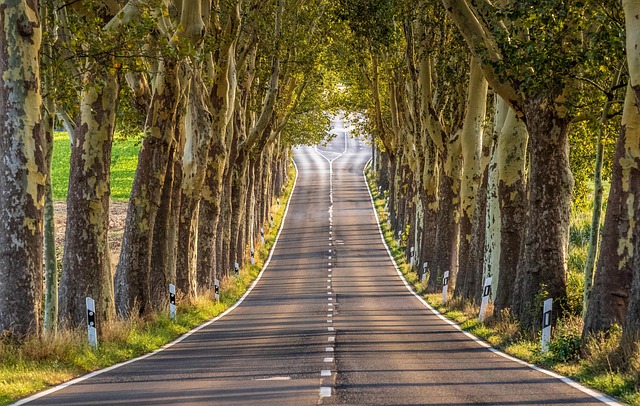 asphalt resurfacing