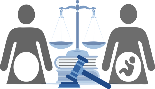 child custody law firm