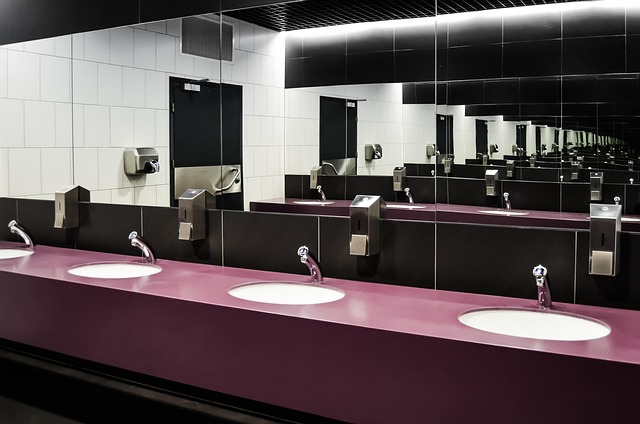 comfort height toilet