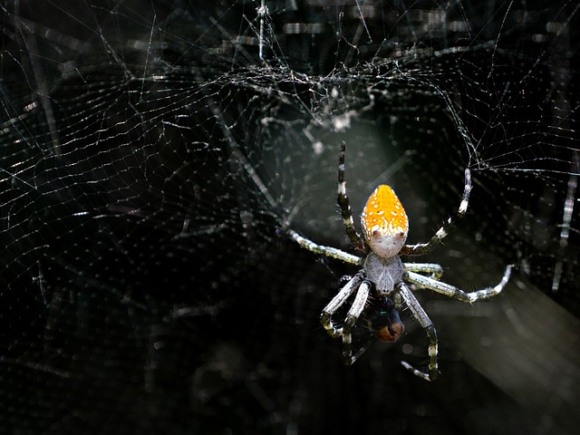 continuous-feed-disposal-640x480-72211281.jpeg