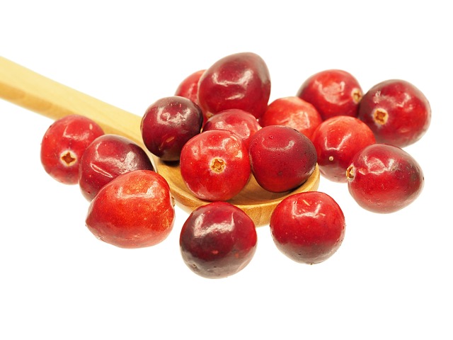 cranberry plumbing