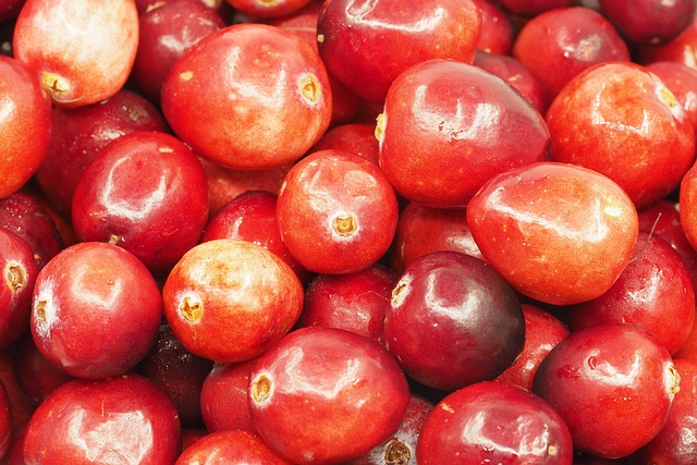 cranberry plumbing