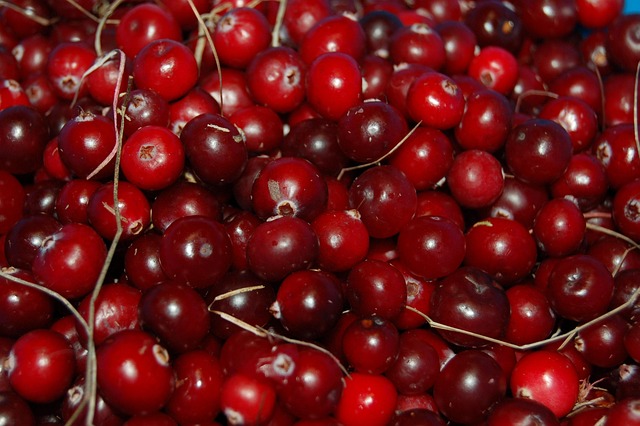cranberry plumbing