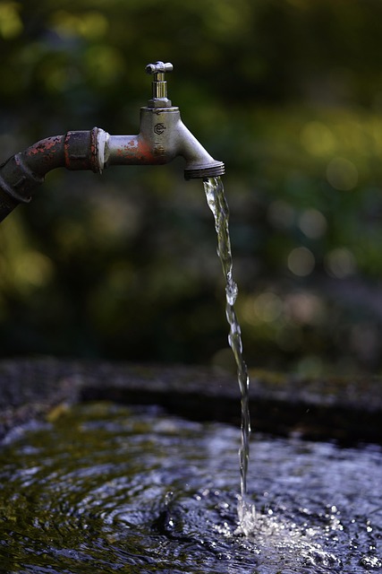 drain inspection
