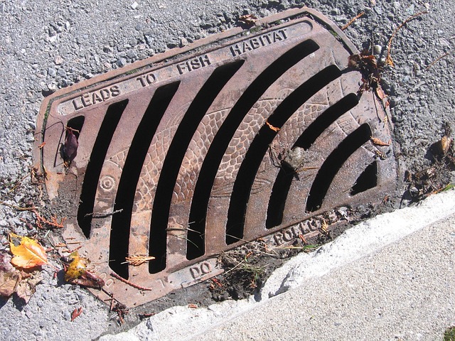 drain maintenance