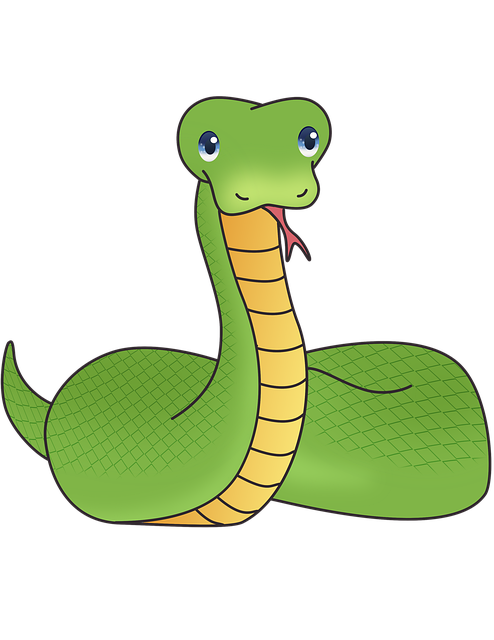 drain snaking