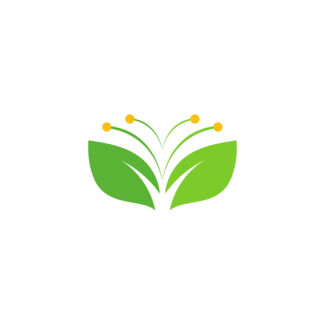 eco friendly drain cleaning