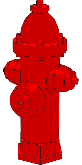 emergency water heater