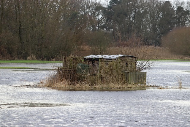 flood-cleanup-plumbing-640x480-20658101.jpeg