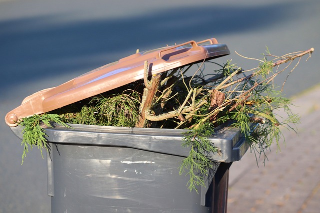 garbage disposal removal