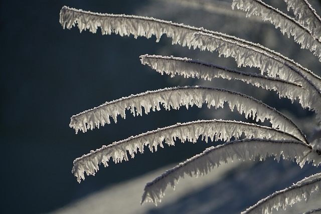 ice maker line