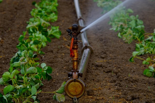 irrigation-leak-repair-640x480-12087601.jpeg
