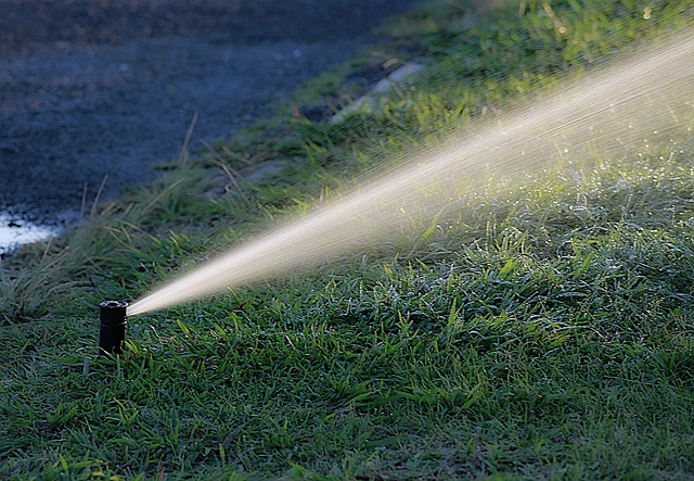 irrigation-leak-repair-640x480-499600.jpeg