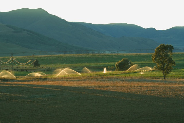 irrigation-leak-repair-640x480-96704575.jpeg