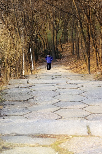 landscape-paving-640x480-33680496.jpeg